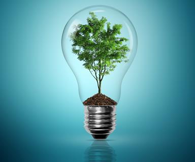 A tree grows inside a lightbulb, signifying sustainable ideas