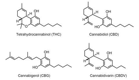 0215CW_Cannabinoids_F3_630m