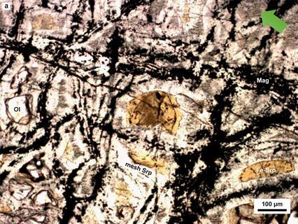 Large optical views of the deeply serpentinized harzburgite recovered by drilling the Atlantis Massif
