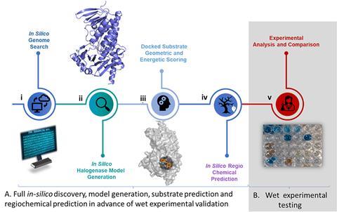 Scheme showing n approach of (A) in silico discovery, followed by (B) wet validation