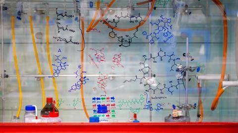 A fumehood sash decorated with hand-drawn natural products and reaction schemes