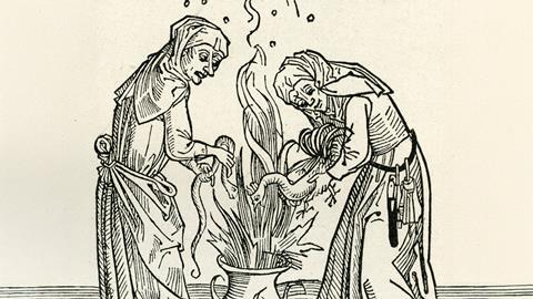 Woodcut image of two women adding a chicken and a snake to a cauldron