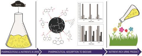 Pharmaceutical removal from human urine using biochar