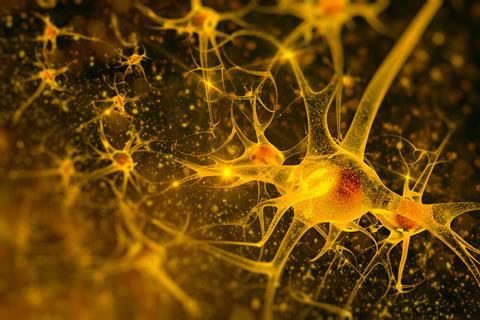 Digital illustration of neurons
