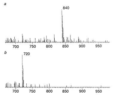 An image showing mass spectra
