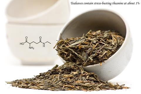Grean tea leaves with theanine - CW1216