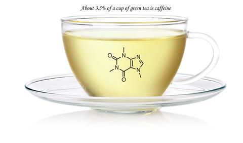 Grean tea cup with caffeine structure - CW1216