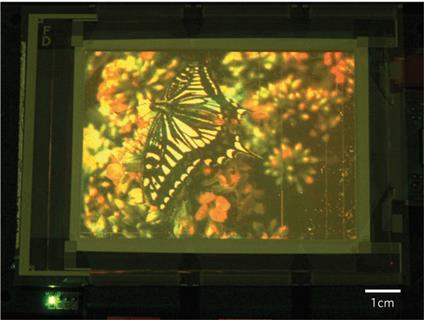 Samsung made a prototype 4-inch full-colour display, with 320&#195;—240 quantum dot pixels, by transfer printing