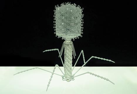 glass bacteriophage