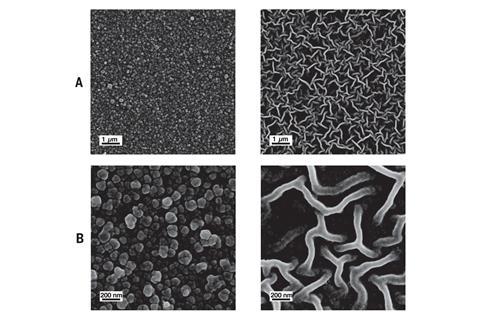  Electron micrographs of the Turing-type PA membranes. (A) Low-magnification SEM images of the two membrane surfaces. (B) High-magnification SEM images of the two different structures.