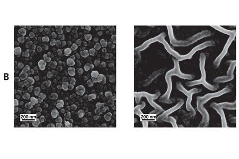 Electron micrographs of the Turing-type PA membranes. 
