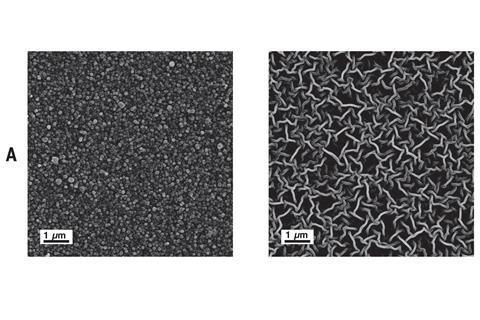Electron micrographs of the Turing-type PA membranes. Low-magnification SEM images of the two membrane surfaces