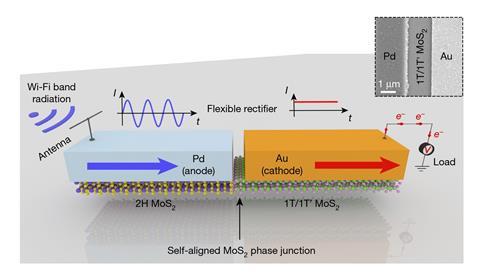 A scheme showing the flexible rectenna based on a 2D self-aligned MoS2-heterostructure Schottky diode