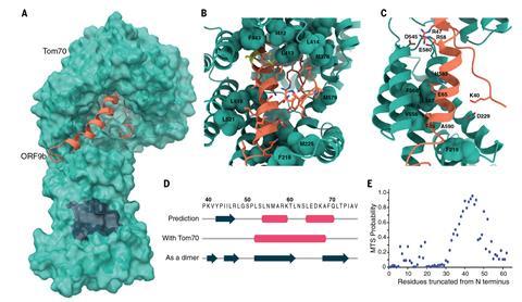 An image showing a Cryo-EM structure