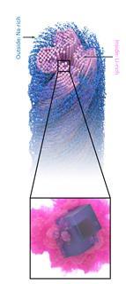 A digital illustration of a close up of crystals forming on the fibres of a string