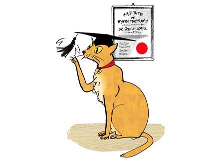 1217CW - Last Retort - cat diploma illustration