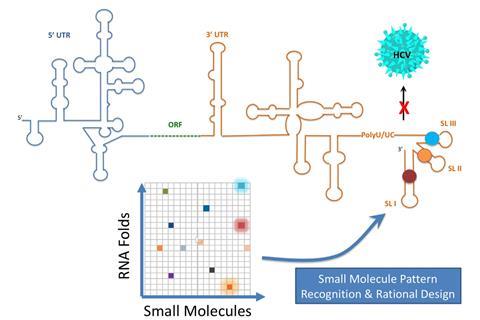 Designing small molecule RNA binding antivirals - schematic