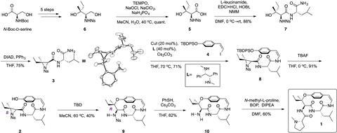 Total synthesis of the reported structure of ceanothine D