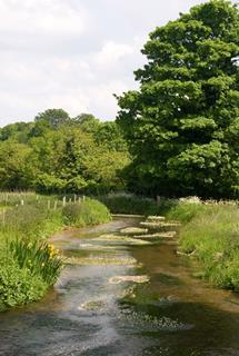 A photo of a river in a country landscape with trees and flowers