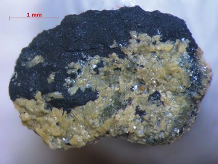 Figure 1 a stepanovite crust on coal chai tumus