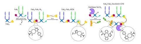 A diagramatic chemical pathway