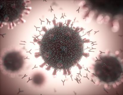 An illustration showing coronavirus and antibodies