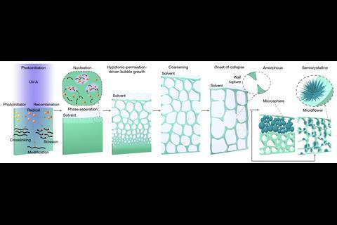 Microflower surface structure of the foaming photopolymer