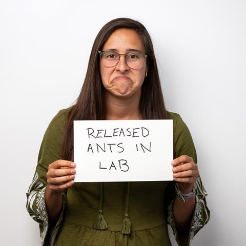 Mariana Kneppers released ants in the lab