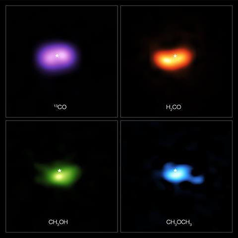 Molecules in the disc around the star IRS 48