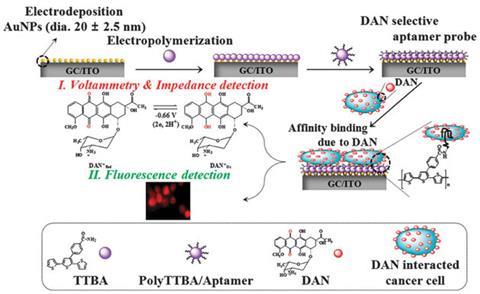 A new system for cancer detection, Research