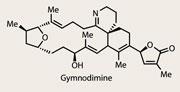 TOTALLY_SYNTHETIC_p36_180