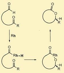 lactonisation-225