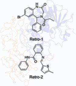 Ricin-250