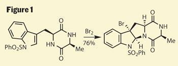 TOTALLY-SYNTHETIC-350-Fig-1