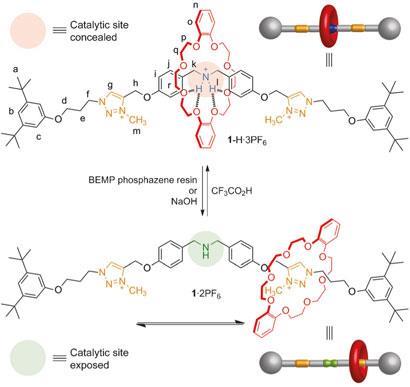 rotaxanes_201201364_scheme1_410