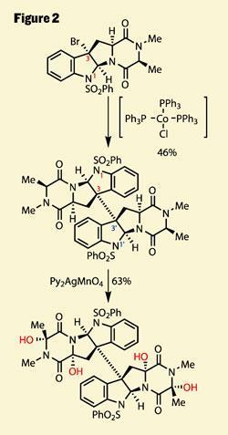 TOTALLY-SYNTHETIC-250-Fig-2