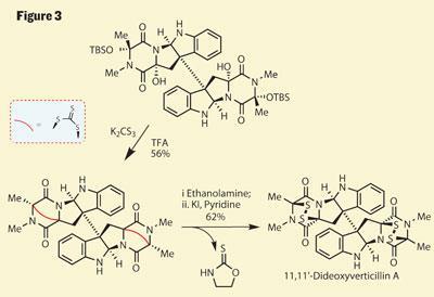 TOTALLY-SYNTHETIC-400-Fig-3