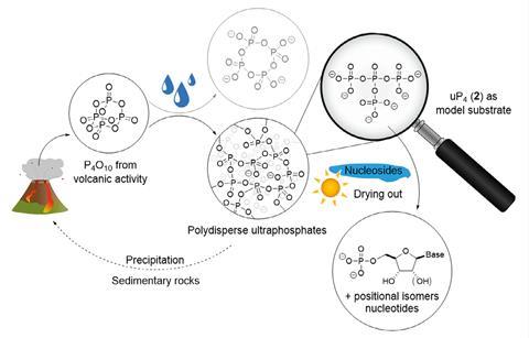 A scheme showing prebiotically plausible phosphorylation reactions using ultraphosphates