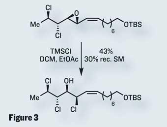 TOTALLY-SYNTHETIC-340