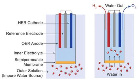 An image showing FOWS cells