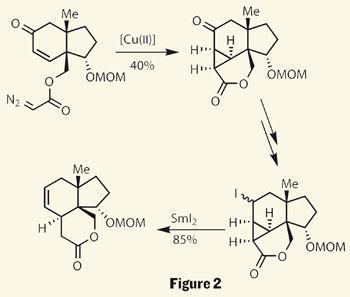 TOTALLY-SYNTHETIC-Fig-2-350