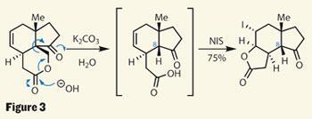 TOTALLY-SYNTHETIC-Fig-3-350