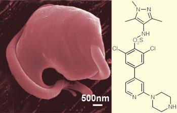 Trypanosoma-molecule-350