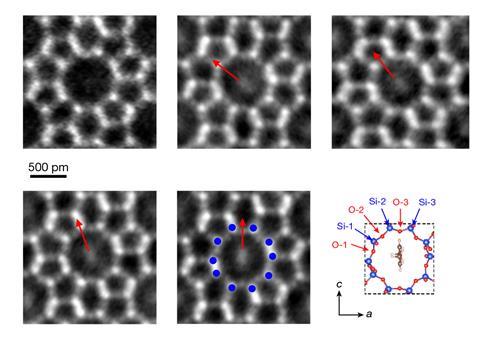 An image showing identifying different orientations of PX pointer molecules