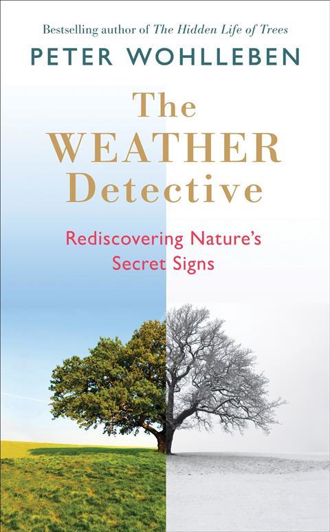 A Picture of The Weather Detective Book Cover