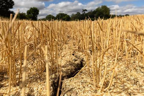 Cracked soil