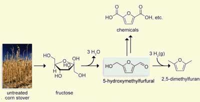 Raines-biofuels-paper-400