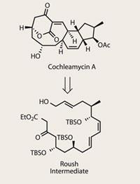 TOTALLY-SYNTHETIC-200