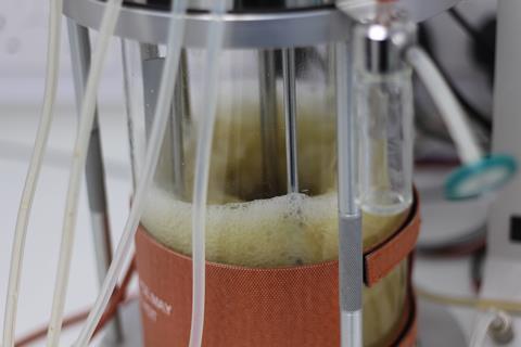 An image showing creating P450 enzymes using small-scale fermentation in the lab