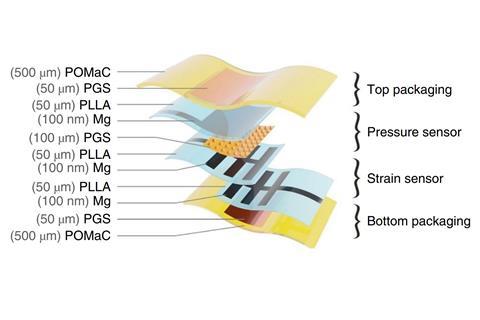 Materials and overall assembly of the fully biodegradable strain and pressure sensor